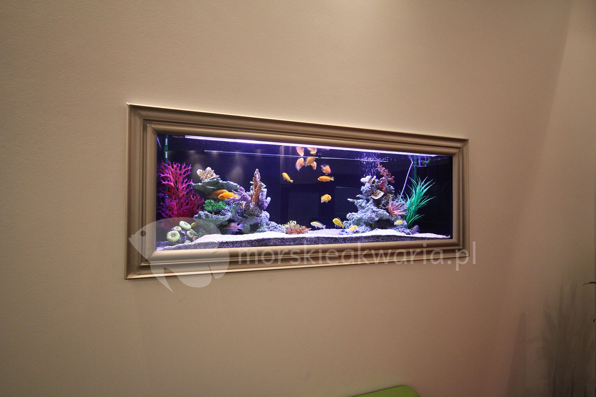 akwarium w ścianie 2